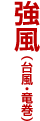 強風(台風・竜巻)
